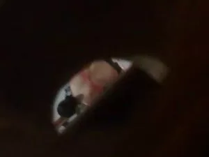 Bionda su video porn ...
